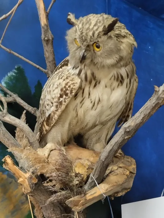 image - 2026-04-08T120530.890