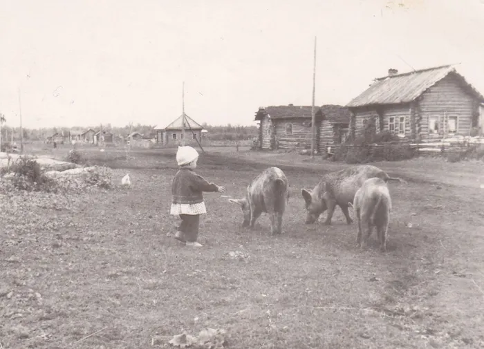 Деревня Плешковка Большеуковского района