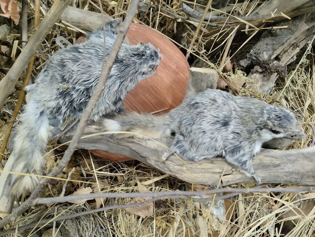 image - 2026-01-16T151652.203